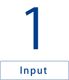 Input